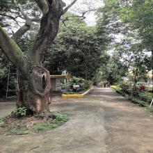 Male Walking Area